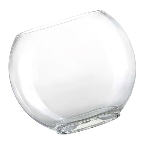 Supvox Transparentes Ökologisches Aquarium Glasterrarium Runde Blumenvase Moos Ökologische Flasche Terrarienbecken Luftpflanzenhalter Glasschalenvase Runde Glasvase Hydroponik Leeres Glas von Supvox