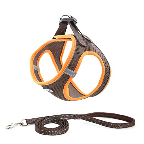 Suredoo Hundegeschirr mit Leine, Anti Zug Geschirr Reflektierend Brustgeschirr für Kleine Hunde, Haustiere, Katzen, Welpen (Braun Orange, L) von Suredoo