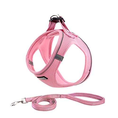 Suredoo Hundegeschirr mit Leine Anti Zug Geschirr Reflektierend Brustgeschirr für Kleine Hunde, Haustiere, Welpen, Katzen (Rosa, XS) von Suredoo