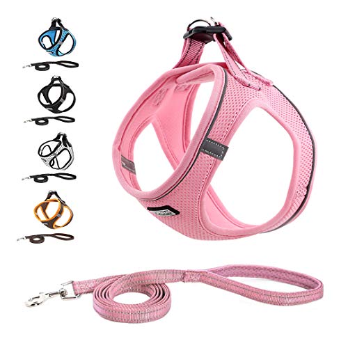 Suredoo Hundegeschirr mit Leine Anti Zug Geschirr Reflektierend Brustgeschirr für Kleine Hunde, Haustiere, Welpen, Katzen (XS, Pink) von Suredoo