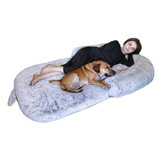 Faltbares Hundebett von SurfPaws