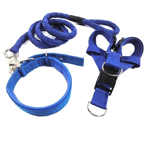 Surtep Leine + Geschirr + Halsband Easy Blau von Surtep