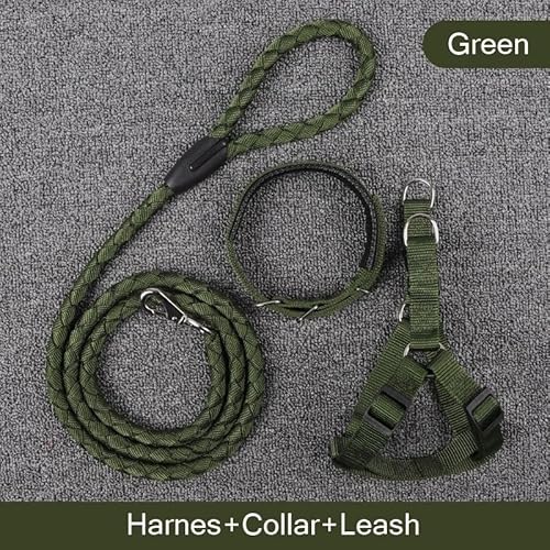 Surtep Leine + Geschirr + Halsband Easy Green von Surtep