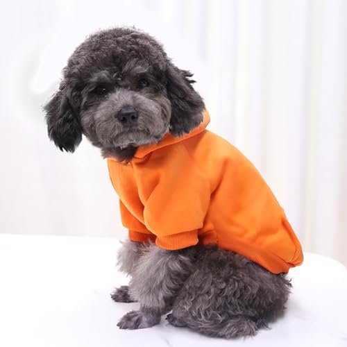 Surtep Poly Sweatshirt für Hund Orange von Surtep