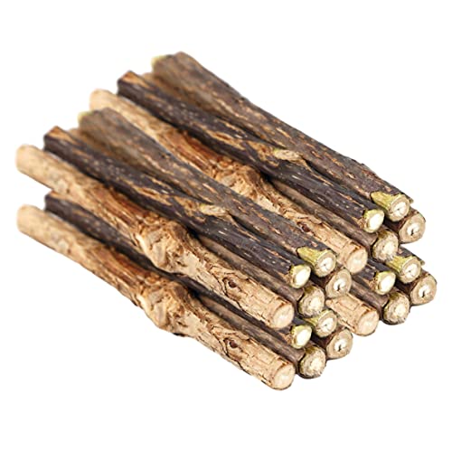 Catnip Sticks natürliche Silbervine -Reinigungszähne Molkolben kauen Spielzeug für Kitty Cat 20pcs von Suxdlan