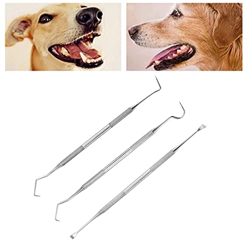 Suxgumoe Pet Tooth Scaler Reinigungsset, 3 Stück Edelstahl Zahnstein-Entferner Zahnbelag-Entferner für Hunde Katzen von Suxgumoe