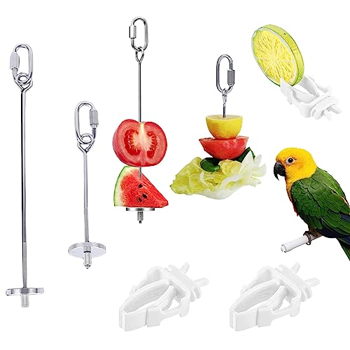 Vogelspieß Futterhalter, 2 Stück Edelstahl Vogelfutterhalter & 2 Stück Kunststoff Papagei Obst Gemüse Clips, Vogelkäfig Futterspender Futtersuche Spielzeug Hängende Futterspender für Papageien Kakadu von Suxgumoe