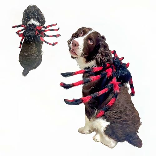 Suyfhdc Spinnenkostüm für Hunde, Party-Zubehör, Spinnendekoration, Halloween-Cosplay-Kostüme mit verstellbarem Klettverschluss, passend für kleine, mittelgroße Hunde und Katzen, Schwarz / Rot von Suyfhdc