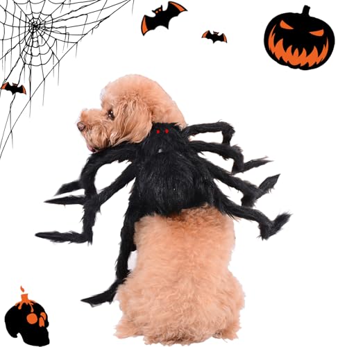 Suyfhdc Spinnenkostüm für Hunde, Party-Zubehör, Spinnendekoration, Halloween-Cosplay-Kostüme mit verstellbarem Klettverschluss, passend für kleine, mittelgroße Hunde und Katzen, Schwarz von Suyfhdc