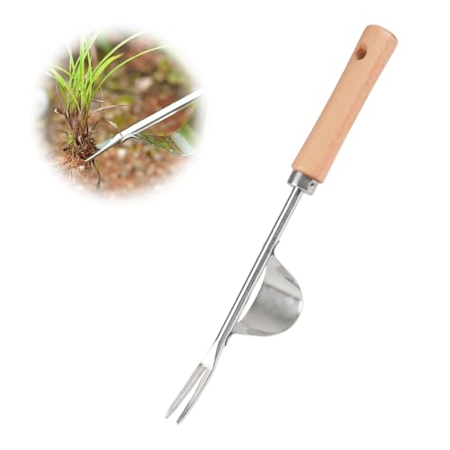 Manueller Unkrautstecher Edelstahl, 30cm Länge, Wurzeljäter mit Holzgriff, Handjätgerät für den Garten, V-förmige Design, Manueller Weeder, Manueller Weeder zum Graben, für Jäten, Umpflanzen usw. von Svalor