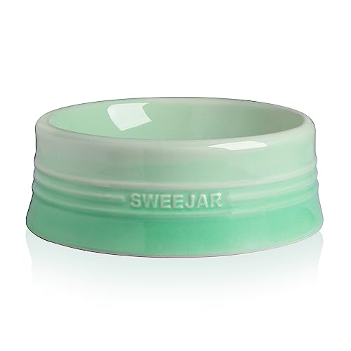 Sweejar Gradient Hundenapf Keramik Hund Futternapf für große Hunde und große Katze Porzellan Haustier Schüssel für Futter und Wasser 907.2 g (Gradient Mint) von Sweejar