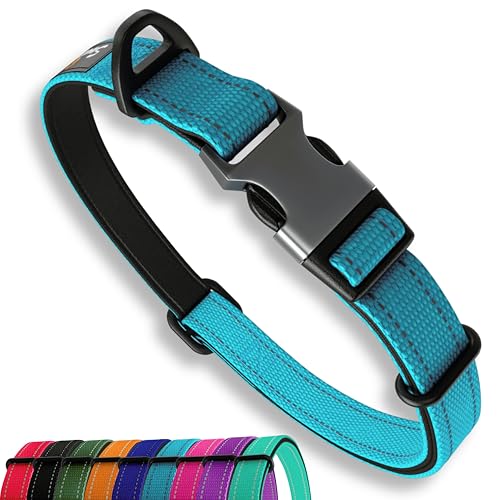 Blau Hundehalsband Mittlere Hunde - Stark Reflektierend Verstellbar Gepolstert Hundehalsbänder - Aluminium V-Ring Hund Sicherheit von Sweetie