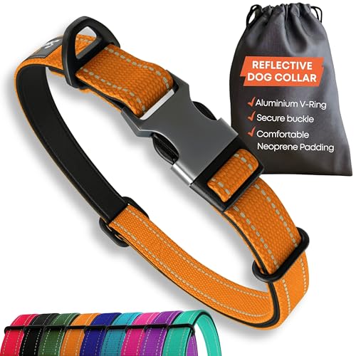 Orange Hundehalsband Kleine Hunde - Stark Reflektierend Verstellbar Gepolstert Hundehalsbänder - Metallschnalle, Aluminium V-Ring, Hundesicherheit Orange Hundehalsband Kleine Hunde - Stark Reflektierend Verstellbar Gepolstert Hundehalsbänder - Metallschnalle, Aluminium V-Ring, Hundesicherheit von Sweetie