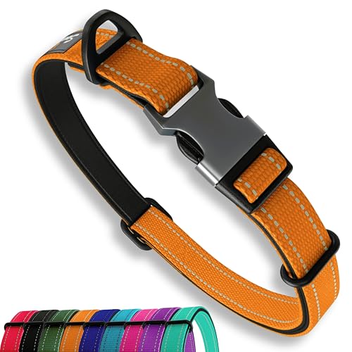 Orange Hundehalsband Kleine Hunde - Stark Reflektierend Verstellbar Gepolstert Hundehalsbänder - Metallschnalle, Aluminium V-Ring, Hundesicherheit von Sweetie