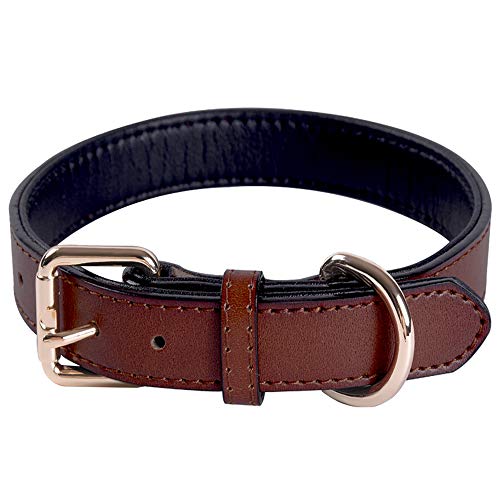 Verstellbare Hundehalsband aus Echtem Leder mit Weichen, Dicken, Gepolstert Halsbändern Am Besten für Kleine, Mittel Große Hunde (Braun) (L) von SweetyMooMoo