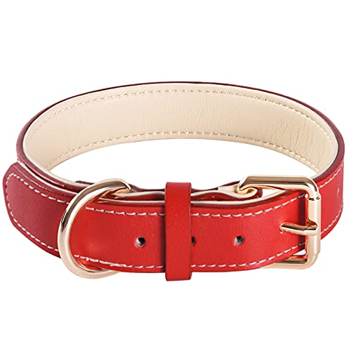 Verstellbares, weiches Echtleder-Hundehalsband, gepolstert, ideal für kleine, mittelgroße und große Hunde (L, Rot) von SweetyMooMoo