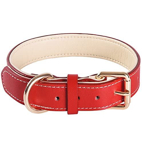 Verstellbares, weiches Echtleder-Hundehalsband, gepolstert, ideal für kleine, mittelgroße und große Hunde (S, Rot) von SweetyMooMoo