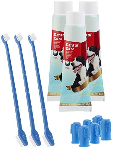 Sweetypet Zahnbürsten Hund: 4in1-Zahnpflege-Set f. Hunde: Zahnpasta, Zahn- & Fingerbürsten,3er-Set (Hundezahnpflege Sets, Sets mit Zahnbürsten für Hunde, Putzen) von Sweetypet