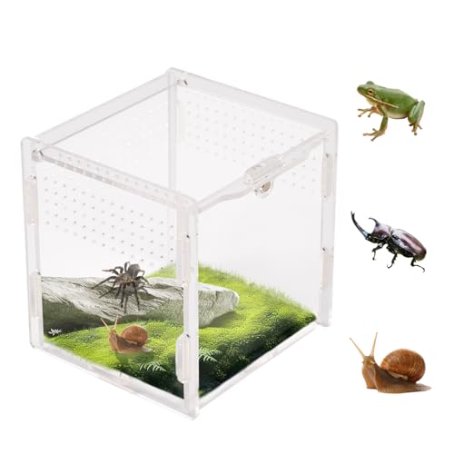 Swirge Transparentes Springspinnengehege, Acryl-Reptilien-Terrariengehege, kleine Reptilien-Lebensraum-Tank-Zuchtbox für Vogelspinne, Insekten (klein) von Swirge