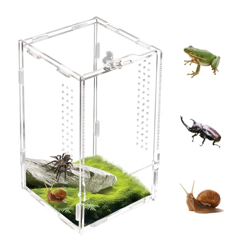 Swirge Transparentes Springspinnengehege, Acryl-Reptilien-Terrariumgehege, kleine Reptilien-Lebensraum-Tank-Zuchtbox für Vogelspinne, Insekten (groß) von Swirge