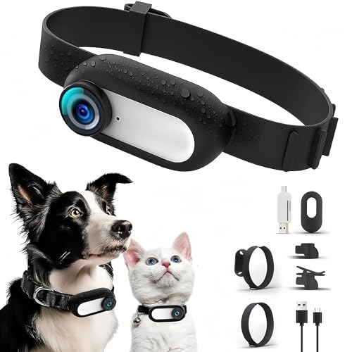 Sxhlseller Katzen Kamera Halsband - 170° Weitwinkel Hundehalsband-Kamera mit 0,96 Zoll LCD-Bildschirm, multifunktionaler Haustier Katzen Tracker für Videoaufzeichnungen, Weiß von Sxhlseller