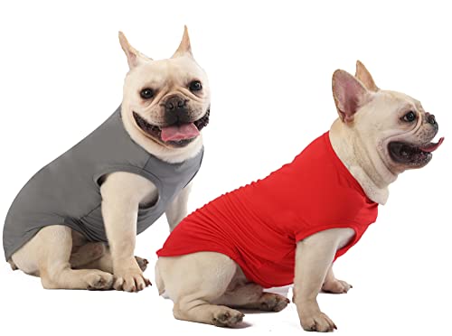 SyChien Blanko-Schnelltrocknende Hunde-Shirts, leicht, dehnbar, für den Sommer, solide Hunde, Katzen, ärmellos, cooler Pullover für kleine Jungen, Mädchen, Rot/Grau, XS von SyChien