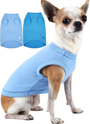 Sychien Hunde-T-Shirt, blanko, blaues Chihuahua-T-Shirt, für Jungen, Mädchen, Hunde, Katzen, einfarbig, extra klein, Chihuahua-T-Shirt, XS, Blau von SyChien