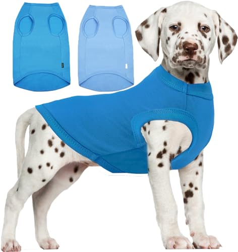 Sychien Hunde-T-Shirt, blanko, blaues T-Shirt, für Jungen, Mädchen, Hunde, großes T-Shirt, einfarbig, französische Bulldogge, Größe L, Blau / Königsblau von SyChien