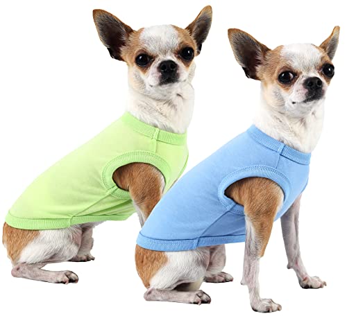 Sychien Leichte Hunde-Shirts, coole Hunde-Sommer-T-Shirts, weiches Haustier-Shirt, ärmellos, leere Kleidung, Chihuahua-Kostüme für Welpen, Kätzchen, Hunde, 2er-Pack, XS, blau, grün von SyChien