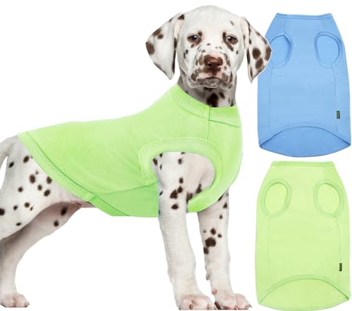 Sychien Leichtes Hunde-Shirt, cooles, atmungsaktives, dehnbares Hunde-T-Shirt, weiches Haustier-Shirt, ärmellos, blanko, Kleidung für Welpen, Kätzchen, 2er-Pack, S, Blau und Grün von SyChien