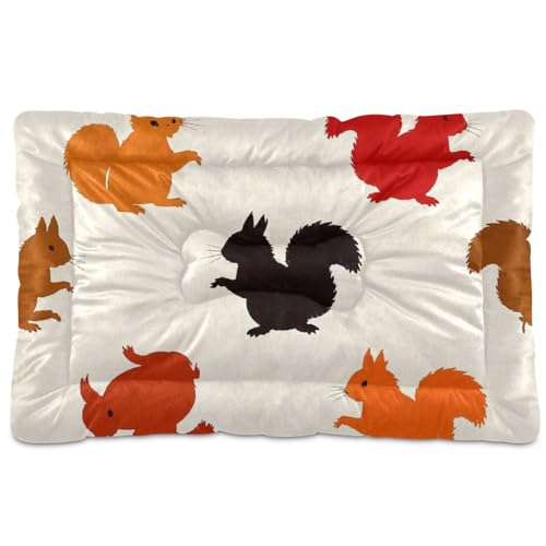 Hundebett-Matte mit Cartoon-Eichhörnchen-Silhouette, waschbar, rutschfest, weich, bequem, für mittelgroße und große Hunde, 91,4 x 61 cm, Beige Hundebett-Matte mit Cartoon-Eichhörnchen-Silhouette, waschbar, rutschfest, weich, bequem, für mittelgroße und große Hunde, 91,4 x 61 cm, Beige von SyXIOP