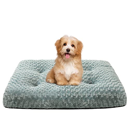 Sycoodeal Hundebett-Matte, Hundehüttenbett, Haustierbett, Matratze, Katzenbett, weich, bequem, Haustierbett-Pad mit rutschfester Unterseite, maschinenwaschbar, Hundehütte, geeignet für kleine Hunde und Katzen (43,2 x 61 cm, grün) von Sycoodeal