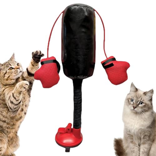 Katzen-Boxsack-Spielzeug, interaktives Trainingsspielzeug für Kätzchen, Katzenspielzeug Boxsack mit Handschuhen, Katzenminzen-Boxsack-Spielzeug, kreatives Katzenspielzeug für Training und Langeweile von Syengery