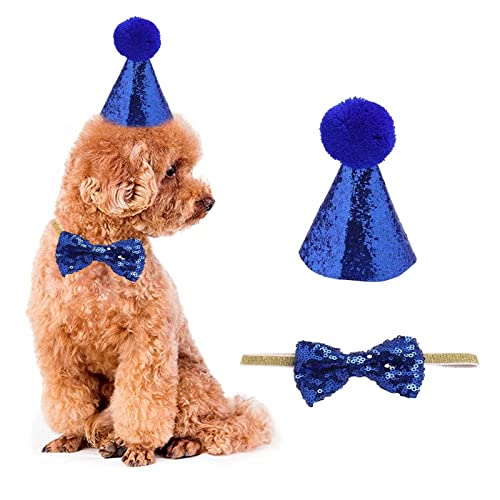 Haustierhut und Fliege, 2 Stück/Set Hund Katzen Geburtstagskappe mit Schleife Kopfbedeckung Kostüm für Welpen Kitty Party (blau) von Symphonyw