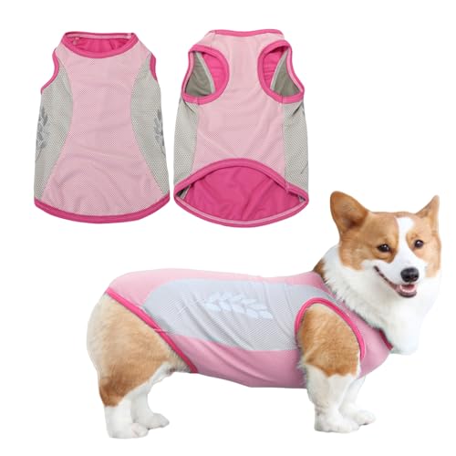 Hunde Kühlweste, Sommer Sicheres Atmungsaktives Hunde T-Shirt, UV-Schutz Haustier Ärmellose Weste Kleidung für Kleine Mittel Hunde Katze Haustier (Blau, 2XL) von Symphonyw
