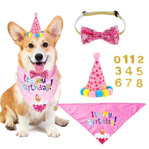 Katzen Hunde Geburtstag Set, Haustier Geburtstag Bandana Hut mit 0-8 Zahlen, Cat Dog Geburtstag Party Dekoration für kleine mittelgroße Hunde Haustiere (C Rosa) von Symphonyw