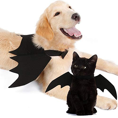 Symphonyw Fledermaus-Flügel, für Hunde und Katzen, Halloween-Kostüm, Fledermaus-Flügel, Kostüm, Größe S von Symphonyw