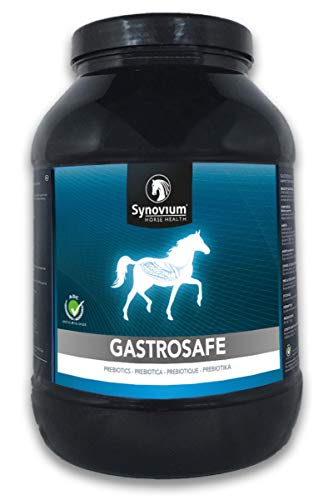 SYNOVIUM Gastrosafe - 1.5 kg von SYNOVIUM