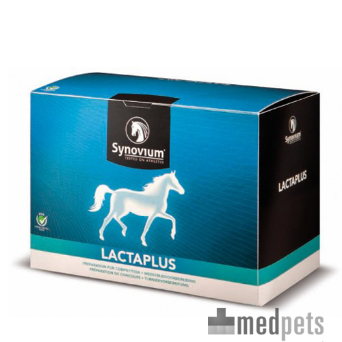 Synovium Lactaplus - 6 x 40 g von Synovium