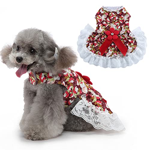 Sytaun Pet Dress Soft Pullover Skin Dog Bowknot Puppy Princess Dress for Summer Red L von Sytaun