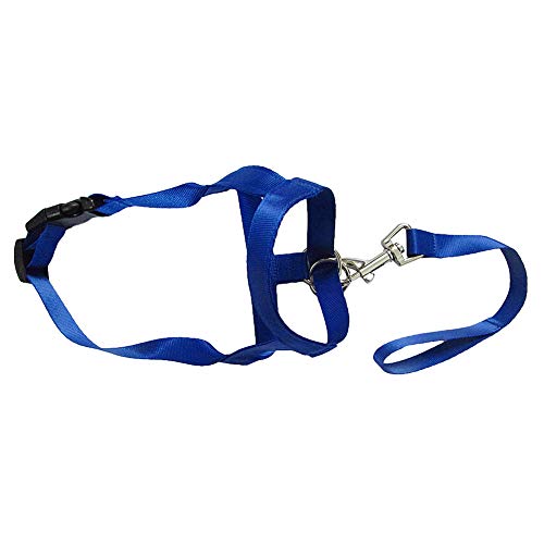 Sytaun Soft Nylon Dog Pet Kopf Halsband Training Mundkäfig Anti Bite Chew Safety Verstellbarer Gurt, Langlebig, Atmungsaktiv, Bequem Blau XXL von Sytaun