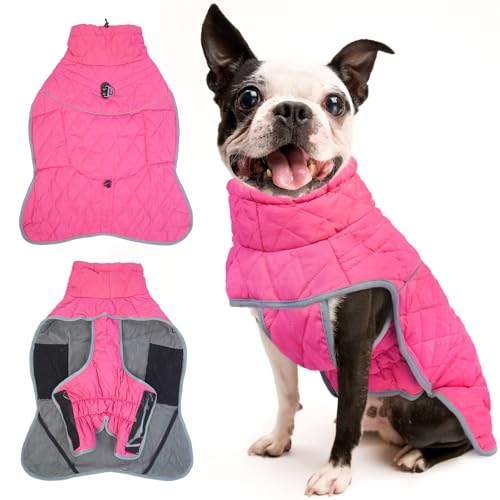 Hundejacken für den Winter, kleine Hundejacke mit Kapuze, winddichter Hundemantel mit Schnalle von T'CHAQUE