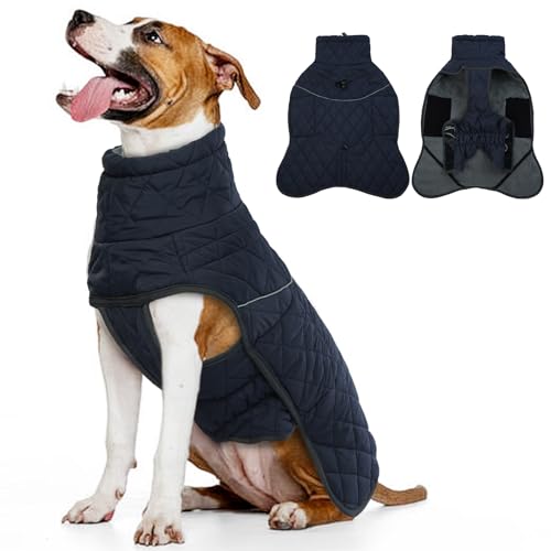 Hundejacken für den Winter, kleine Hundejacke mit Kapuze, winddichter Hundemantel mit Schnalle von T'CHAQUE