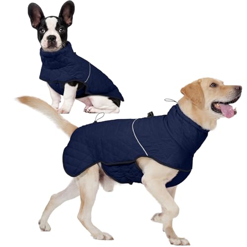 Hundejacken für den Winter, kleine Hundejacke mit Kapuze, winddichter Hundemantel mit Schnalle von T'CHAQUE