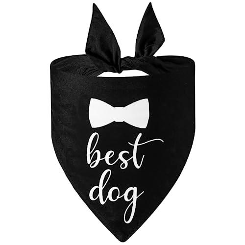 T'CHAQUE Hunde-Abschlusskappe, Fliege mit gelber Quaste, Hut für kleine, mittelgroße und große Hunde, verstellbare formelle Abschlussmützen mit Fliege/Bandana, Hundehalstücher für Hochzeit, Freizeit, von T'CHAQUE