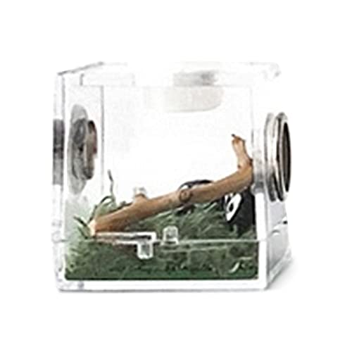1 x Zuchtbox – transparente Futterboxen | tragbare Krabbeltier-Reptilien-Zuchtboxen, Sichtbox mit Anti-Flucht-Design von TABSIRAH