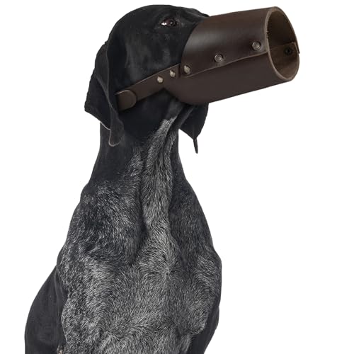 TACO DOG, Dicker Maulkorb für Hunde, sichere Trainingsabdeckung, Mundschutz Maske verhindert Beißen Kauen, Anti-Bellen, Vollnarbenleder, handgefertigt (XL) von TACO DOG