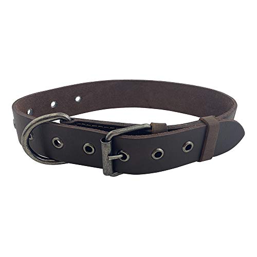 Taco Dog, Dickes Leder Hundehalsband handgefertigt aus Vollnarbenleder - Bequemes Haustierhalsband für mittelgroße Hunde (12 bis 21 Zoll) Hundeliebhaber Geschenk (Bourbon Braun) von TACO DOG