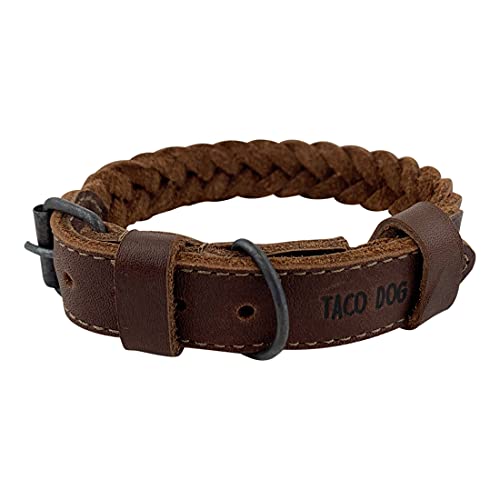 Taco Dog, Geflochtenes kleines Hundehalsband, langlebiges, stabiles Material – Gürtelschnalle für sicheren Halt – ideal für kleinere Rassen oder Welpen – Bourbon Brown von TACO DOG