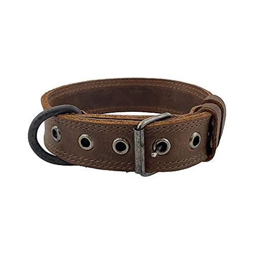 Taco Dog, Kleines Hundehalsband, langlebiges, natürliches Material – Bourbon-Braun von TACO DOG